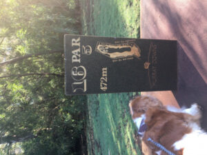 Serene 16th on a Sunday morning.