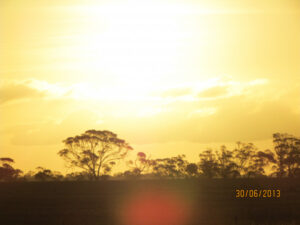 Beating the heatwave