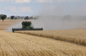 Grain growers query fees