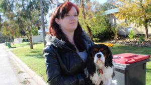 Alleged target of dog fighting