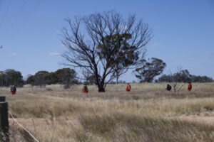 No answers in search