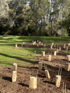 Riverfront project a success