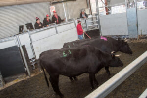 Elders eyeing a Delta deal