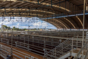 Feedback sought on livestock exchange