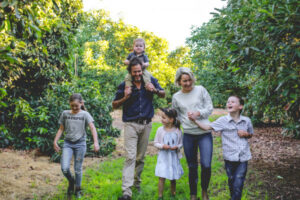 Barham Avocados cops big price hit in world glut