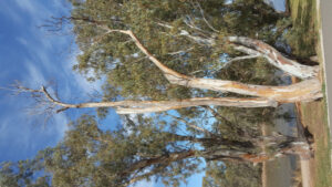 Letters to the Editor September 10