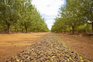 $27m vision is justifiably nuts