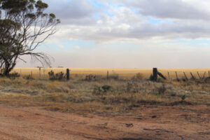 Tough out here, living on the land