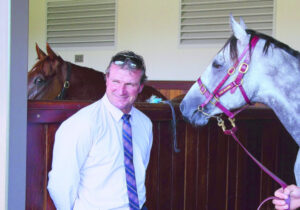 The horse that stopped a region