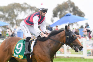 McNeil’s festive season full of joy