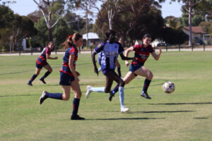 Swans perfect weekend