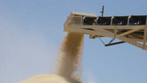 Scrap differential rates: Katis