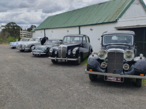 Vintage luxury cars to visit