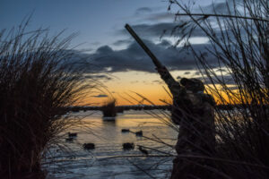 State backs new-look hunt