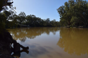 Budget money for ‘environmental targets’ spark buyback fears