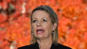 Border reopening presents new challenges, Ley writes