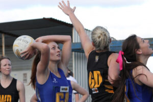 Rift forms in ladder