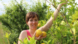 To market, or not to market