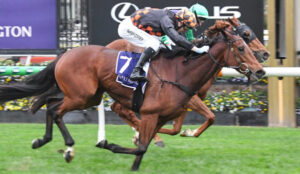 Shockletz gets the chocolates at Flemington