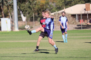 Swans can take one step closer