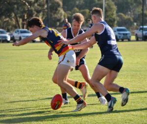 Perfect eight for Blues