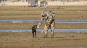 Activists post duck shooter ‘cruelty’ on video