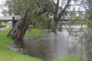 Swan Hill community meets tonight