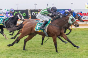 Shal Exceed’s expectations