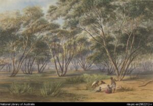 Uncovering the history of the ‘howling wilderness’