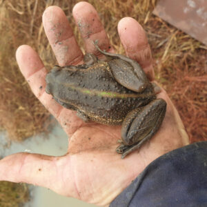 Moulamein Notes April 21, 2023