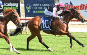 Home track hustle for McEvoy stable