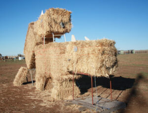 50 Shades of Hay up in smoke