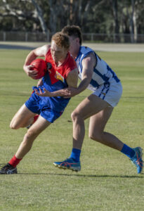 Roos outclass Demons