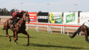 Harry’s a star on the rise