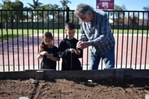 Becoming green thumbs