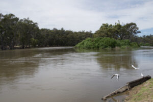 River level set to remain below flood