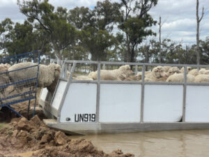 Party boat now an ark