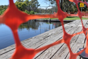 Friday major flood expected at Swan Hill