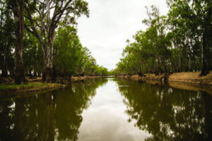 From men’s health to bowls