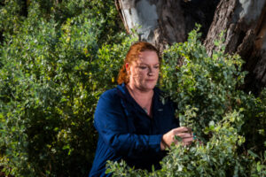 Filling the feed gap