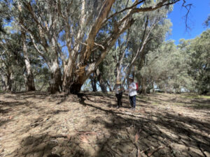 Artists explore the meaning of borders