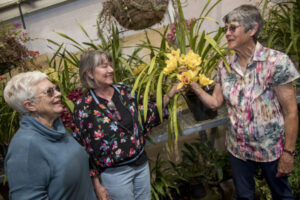 Gardens open in aid of hospital