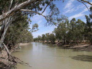 Moulamein Notes with China Gibson October 14