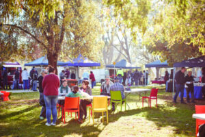 Sunday markets return