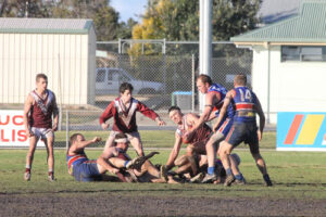 Photo finish for Tyntynder