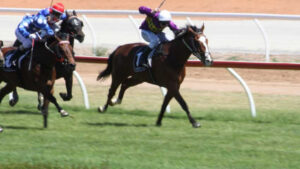 Wyche preview at Swan Hill