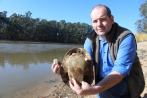 Turtle-y cool new app