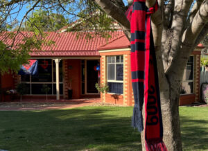 Demons Grand Final joy