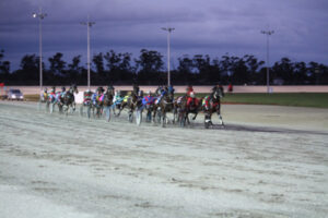 Stanley tops at Swan Hill trots