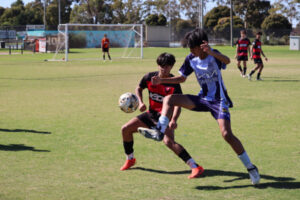 All five teams in action